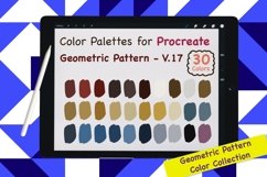 Procreate Color Palette-Geometric Pattern V.17 Product Image 1