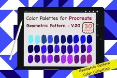 Procreate Color Palette-Geometric Pattern V.20 Product Image 1