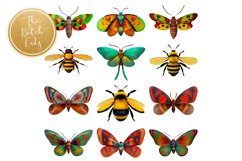 Beetles &amp; Moths Clipart Set - 35 .PNG Files Product Image 3