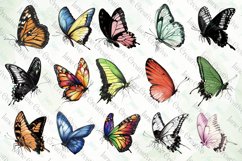 Colorful Drawing Butterfly Sublimation Bundle Product Image 4