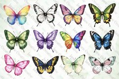 Colorful Drawing Butterfly Sublimation Bundle Product Image 5