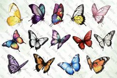 Colorful Drawing Butterfly Sublimation Bundle Product Image 2