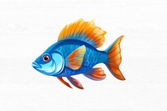 Fish Watercolor Sublimation Clipart Product Image 3