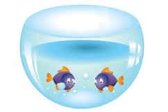 Fishes in Aquarium Product Image 1