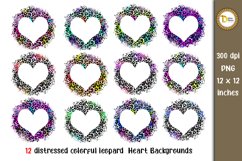 Big Colorful Leopard Print Backgrounds Bundle | 60 PNG Product Image 6