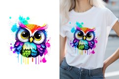 Colorful Paint Splash glitter Cute Owl Sublimation Design Product Image 1