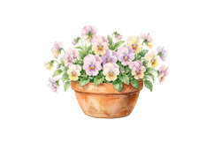 Colorful Potted Plant Png |Garden Png Product Image 1