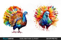 Watercolor Clipart,Digital Clipart,Watercolor Fall,Autumn Clipart,Fall Clipart,Harvest Season,Fall Graphics,Thanksgiving Clipart,Turkey Clipart,Thanksgiving Turkeys,Colorful Feathers,