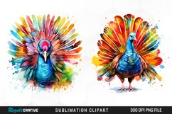 Watercolor Clipart,Digital Clipart,Watercolor Fall,Autumn Clipart,Fall Clipart,Harvest Season,Fall Graphics,Thanksgiving Clipart,Turkey Clipart,Thanksgiving Turkeys,Colorful Feathers,