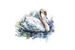 Swan Colorful Watercolor Sublimation, Swan Colorful Watercolor, Sublimation Design, Digital Download, Watercolor Clipart, Art, Illustration Instant Download, Digital ,Sublimation, Printable, Print On Demand ,Bundle Clipart, Watercolor,