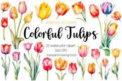 Colorful Watercolor Tulip Clipart