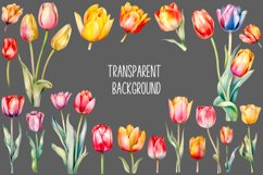 Colorful Watercolor Tulip Clipart