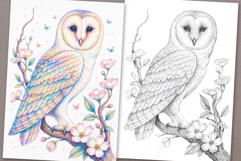 Owl Bird Coloring Page and Coloring Book for Kids and Adults Product Image 1