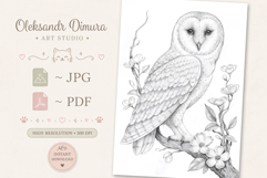 Owl Bird Coloring Page and Coloring Book for Kids and Adults Product Image 2