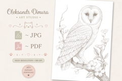 Owl Bird Coloring Page and Coloring Book for Kids and Adults Product Image 3