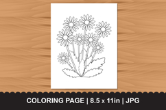 Beautiful Daisy Flower Bouquet Coloring Page Product Image 1