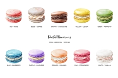 Watercolor rainbow macaroons clipart 10 color sweets Product Image 2