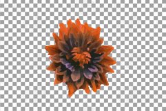 Colours of autumn flower and eucalyptus branches collection. Product Image 14