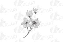 Colours of autumn flower and eucalyptus branches collection. Product Image 10