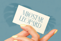 Comela Barier - Ligature Typeface Font Product Image 3