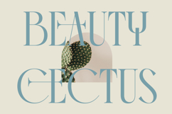 Comela Barier - Ligature Typeface Font Product Image 6