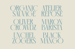 Comela Barier - Ligature Typeface Font Product Image 8