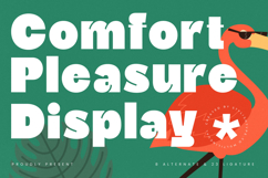 Comfort Pleasure Display Font Product Image 1