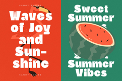 Comfort Pleasure Display Font Product Image 10