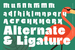 Comfort Pleasure Display Font Product Image 18