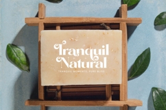 Comfort Roads - Groovy Serif Display Font Product Image 4