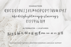 Comfy Sweater Script Font Product Image 10