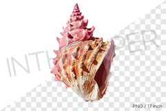 Pink stripe conch PNG clam clipart marine cartoon illust Product Image 1