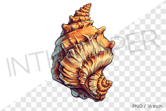 Dark brown conch PNG clam clipart marine cartoon illust Product Image 1