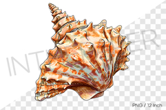 Spiky orange conch PNG clam clipart marine cartoon illust Product Image 1