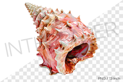 Large red triton conch PNG clam clipart marine cartoon Product Image 1