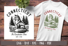 Connecticut svg Vintage United states design 