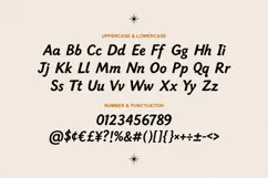 Connies Swetzarc Aesthetic Font Product Image 3