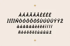 Connies Swetzarc Aesthetic Font Product Image 4
