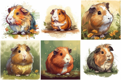 18 Guinea Pig Rodent Illustrations JPG Collection Product Image 1