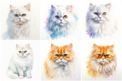 72 Cat Breeds Watercolor Illustration Kitten JPG Collection Product Image 3