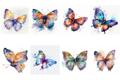 80 Watercolor Butterfly Butterflies Illustrations Vibrant Product Image 2