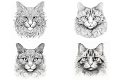 20 Cat Kitten Illustration JPG Drawings Coloring Book Design Product Image 3
