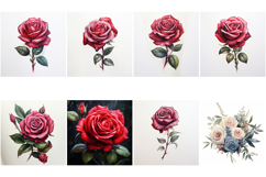 100 Vintage Roses Illustration Wedding Flowers Collection Product Image 7