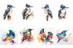 100 Watercolor Bird Illustrations JPG Paintings Kingfisher Product Image 9