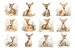 Sweet Baby Deer Clipart Bundle 40 PNG Product Image 3