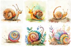 36 Snail Illustration Collection Watercolor JPG Product Image 4