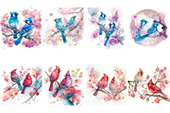 100 Watercolor Bird Illustrations JPG Paintings Kingfisher Product Image 10