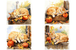 12 Sleeping Cat Illustration Paintings Ginger JPG Product Image 4