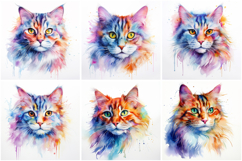 72 Cat Breeds Watercolor Illustration Kitten JPG Collection Product Image 5