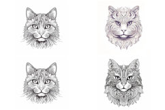 20 Cat Kitten Illustration JPG Drawings Coloring Book Design Product Image 4